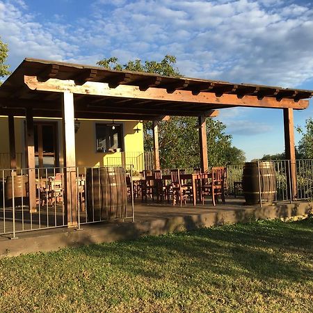 Agriturismo Petrognano Sant'Ellero Ngoại thất bức ảnh