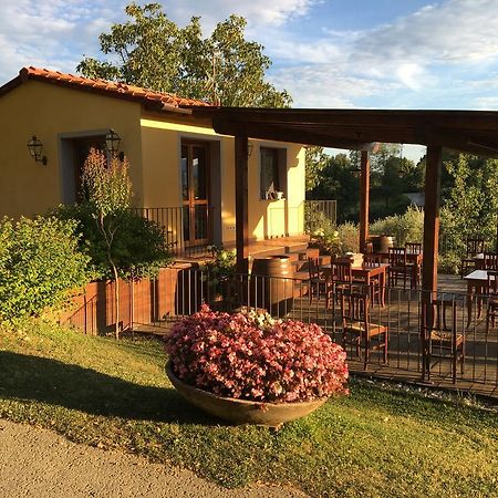 Agriturismo Petrognano Sant'Ellero Ngoại thất bức ảnh